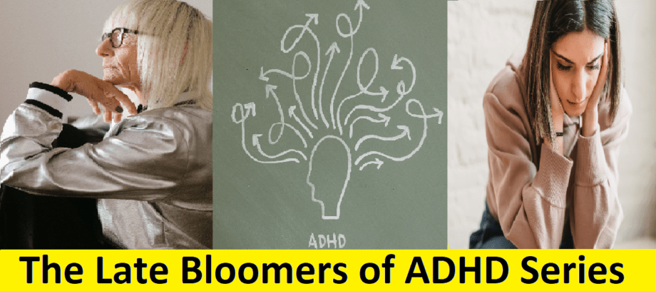 Late bloomers banner