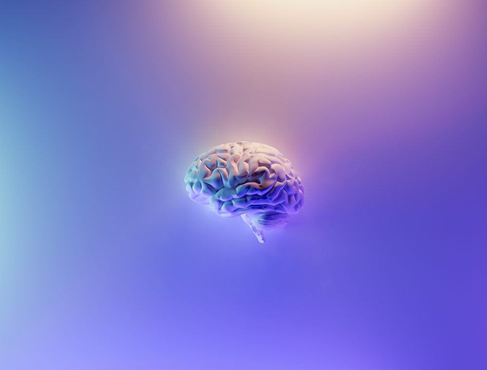 brain to illustrate ADHD