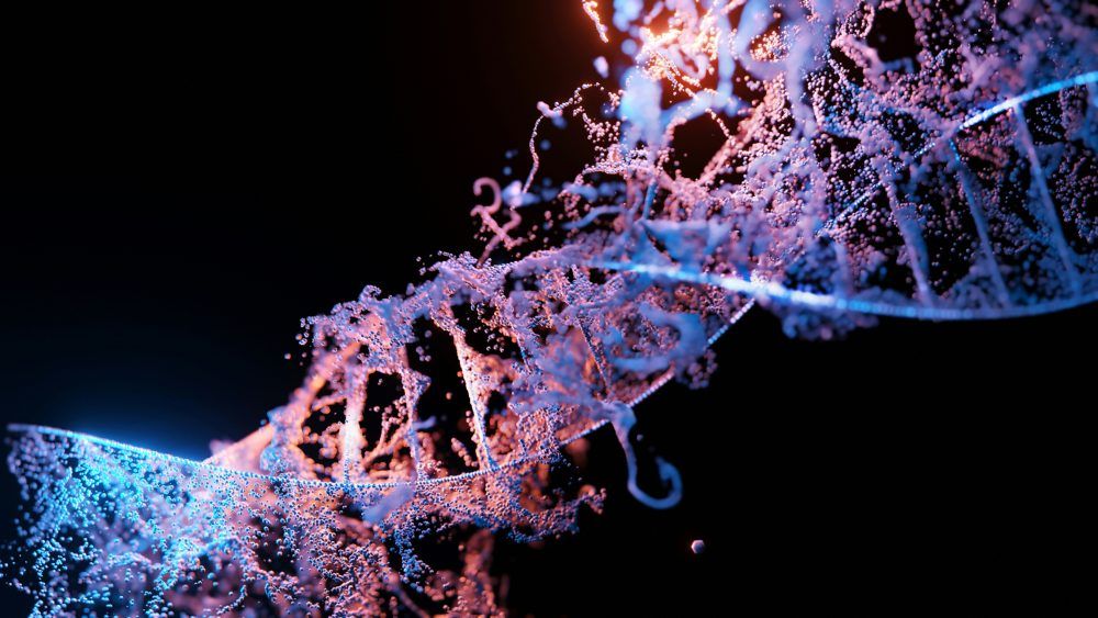 Is ADHD an Evolutionary Condition influenced by Tech?
